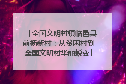 全国文明村镇临邑县前杨新村：从贫困村到全国文明村华丽蜕变