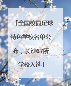 全国校园足球特色学校名单公布，长沙67所学校入选