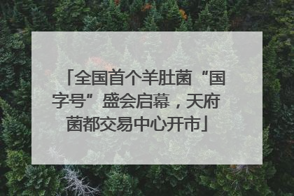 全国首个羊肚菌“国字号”盛会启幕，天府菌都交易中心开市