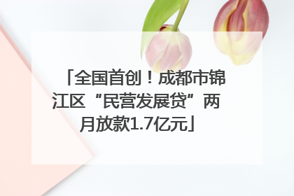 全国首创！成都市锦江区“民营发展贷”两月放款1.7亿元