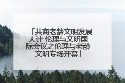共商老龄文明发展大计 伦理与文明国际会议之伦理与老龄文明专场开幕