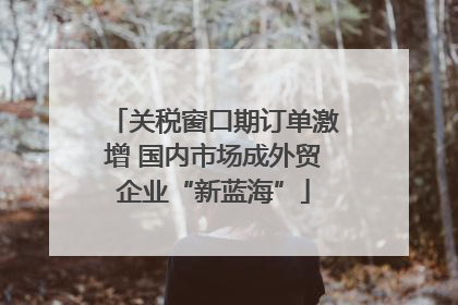 关税窗口期订单激增 国内市场成外贸企业“新蓝海”