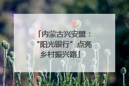 内蒙古兴安盟：“阳光银行”点亮乡村振兴路