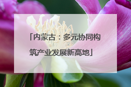 内蒙古：多元协同构筑产业发展新高地