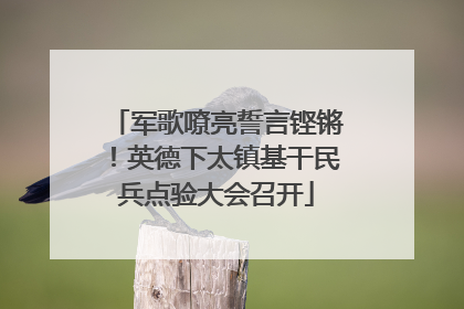 军歌嘹亮誓言铿锵！英德下太镇基干民兵点验大会召开