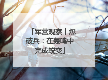 军营观察丨爆破兵：在轰鸣中完成蜕变