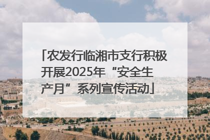 农发行临湘市支行积极开展2025年“安全生产月”系列宣传活动