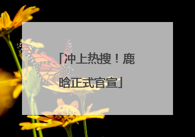 冲上热搜！鹿晗正式官宣
