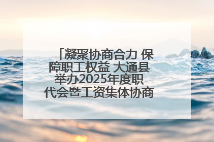 凝聚协商合力 保障职工权益 大通县举办2025年度职代会暨工资集体协商现场观摩交流活动