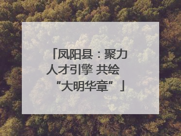 凤阳县：聚力人才引擎 共绘“大明华章”