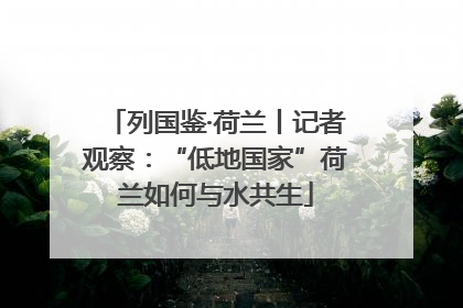 列国鉴·荷兰丨记者观察：“低地国家”荷兰如何与水共生