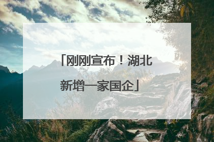 刚刚宣布！湖北新增一家国企
