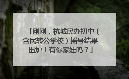 刚刚，杭城民办初中（含民转公学校）摇号结果出炉！有你家娃吗？