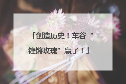 创造历史！车谷“铿锵玫瑰”赢了！