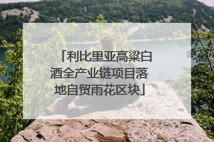 利比里亚高粱白酒全产业链项目落地自贸雨花区块