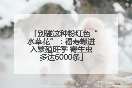 别碰这种粉红色“水草花”：福寿螺进入繁殖旺季 寄生虫多达6000条