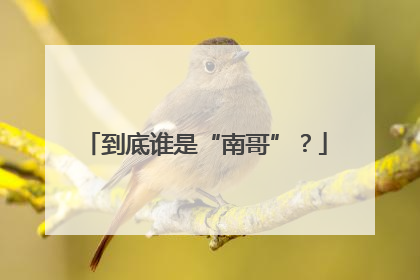 到底谁是“南哥”？