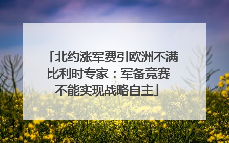 北约涨军费引欧洲不满 比利时专家：军备竞赛不能实现战略自主