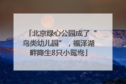 北京绿心公园成了“鸟类幼儿园”，福泽湖畔降生8只小鸳鸯