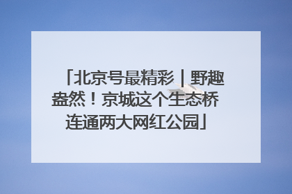 北京号最精彩｜野趣盎然！京城这个生态桥连通两大网红公园
