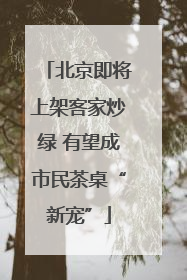 北京即将上架客家炒绿 有望成市民茶桌“新宠”