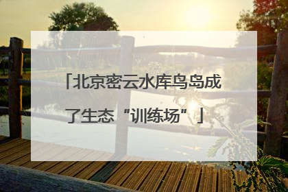 北京密云水库鸟岛成了生态“训练场”