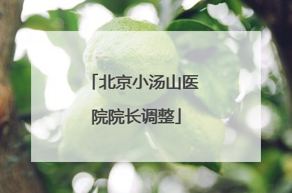 北京小汤山医院院长调整