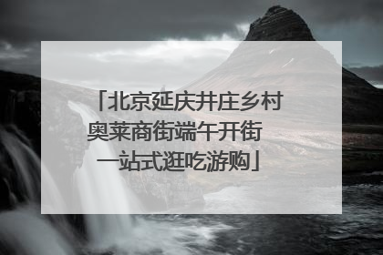 北京延庆井庄乡村奥莱商街端午开街 一站式逛吃游购