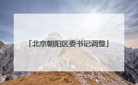 北京朝阳区委书记调整