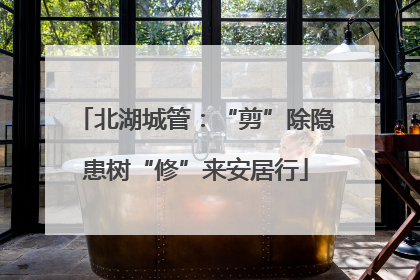 北湖城管：“剪”除隐患树“修”来安居行