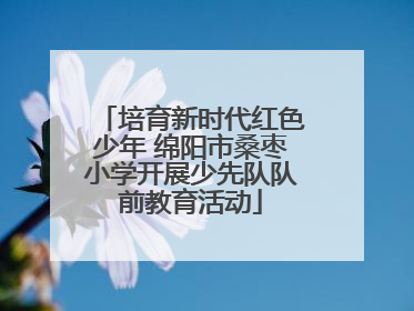 培育新时代红色少年 绵阳市桑枣小学开展少先队队前教育活动