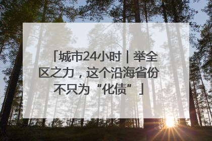 城市24小时｜举全区之力，这个沿海省份不只为“化债”