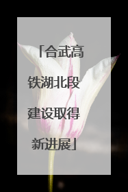 合武高铁湖北段建设取得新进展