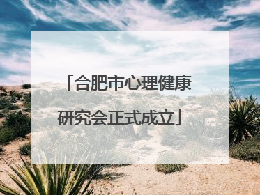 合肥市心理健康研究会正式成立