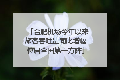 合肥机场今年以来旅客吞吐量同比增幅位居全国第一方阵