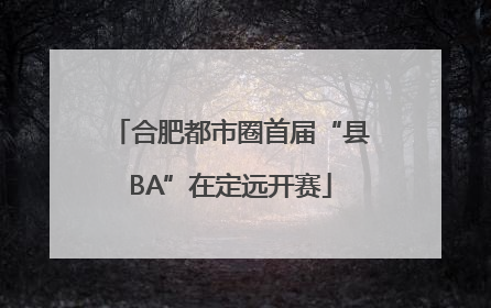 合肥都市圈首届“县BA”在定远开赛
