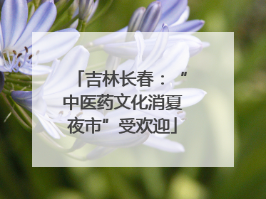 吉林长春：“中医药文化消夏夜市”受欢迎