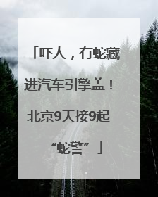 吓人，有蛇藏进汽车引擎盖！北京9天接9起“蛇警”