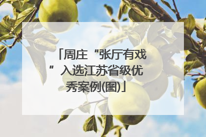 周庄“张厅有戏”入选江苏省级优秀案例(图)