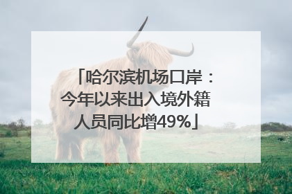 哈尔滨机场口岸：今年以来出入境外籍人员同比增49%
