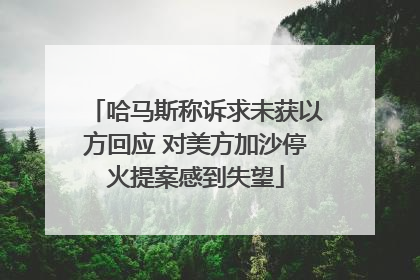 哈马斯称诉求未获以方回应 对美方加沙停火提案感到失望