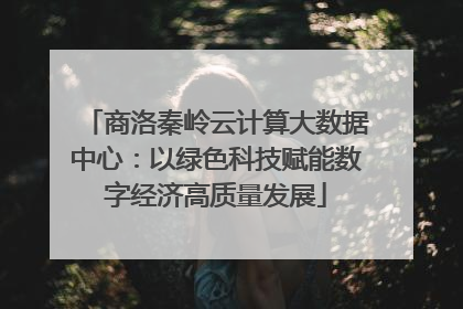 商洛秦岭云计算大数据中心：以绿色科技赋能数字经济高质量发展
