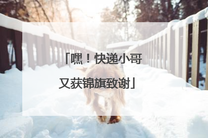 嘿！快递小哥又获锦旗致谢