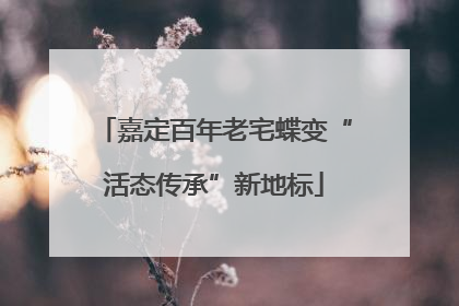嘉定百年老宅蝶变“活态传承”新地标