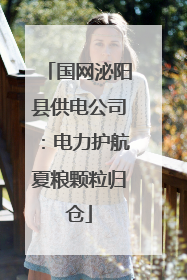 国网泌阳县供电公司：电力护航夏粮颗粒归仓