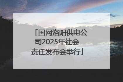 国网洛阳供电公司2025年社会责任发布会举行