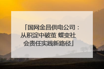 国网金昌供电公司：从积淀中破茧 蝶变社会责任实践新路径