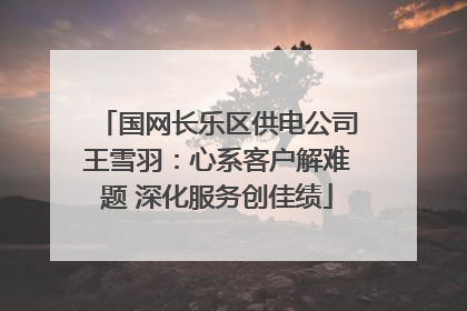 国网长乐区供电公司王雪羽：心系客户解难题 深化服务创佳绩