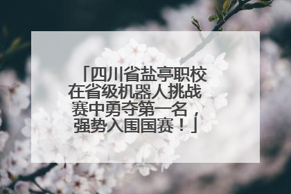 四川省盐亭职校在省级机器人挑战赛中勇夺第一名，强势入围国赛！