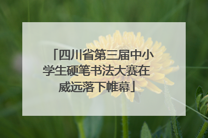 四川省第三届中小学生硬笔书法大赛在威远落下帷幕